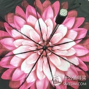 青春旅社何穗游泳,青春旅社何穗微博