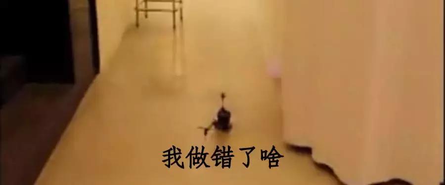 领证之前要做哪些事避免离婚争议,领证之前必须知道的事