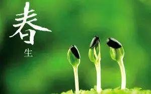 载营魄抱一载的读音,载魄抱一全文翻译