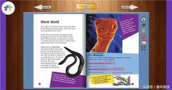 英语学习补习班,用英语补课