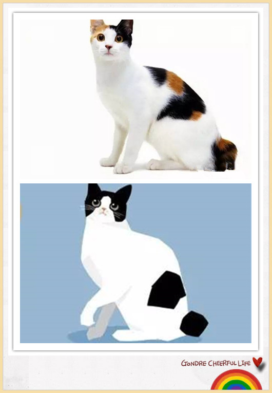 猫咪插画手绘图片,各种猫咪萌化图片