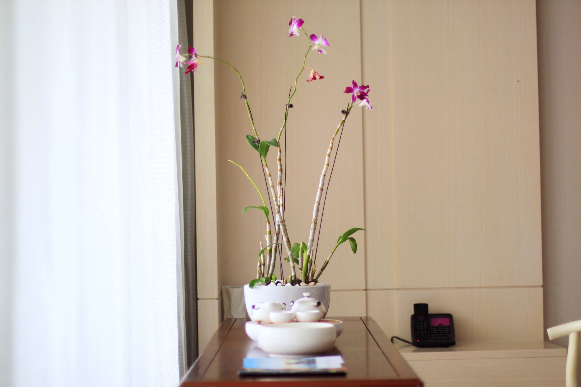 三亚度假之旅完美结束,三亚度假巨无霸五天五夜玩不腻