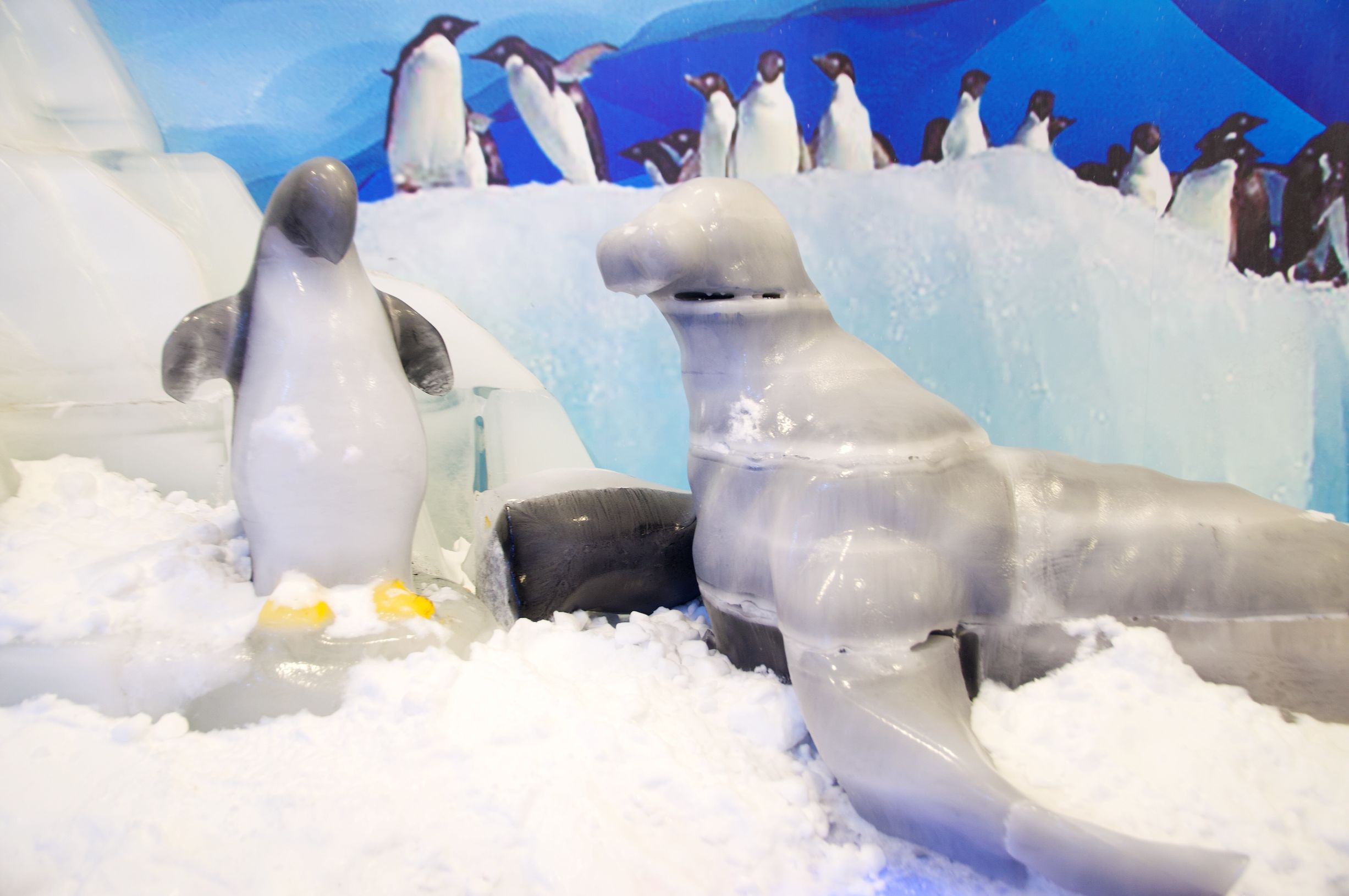 三亚度假之旅完美结束,三亚度假巨无霸五天五夜玩不腻