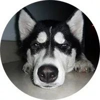 甜到爆的恋爱日常手绘,手绘情侣日常恋爱日记