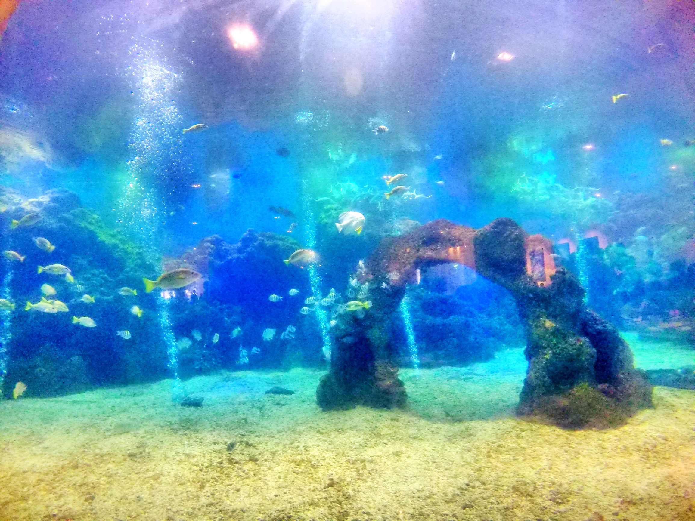 三亚度假之旅完美结束,三亚度假巨无霸五天五夜玩不腻