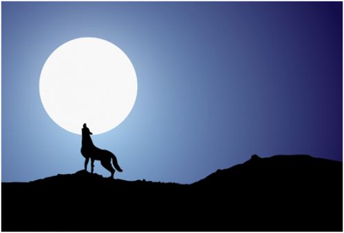 小禁区之王称号,小禁区之王还是小禁区之王