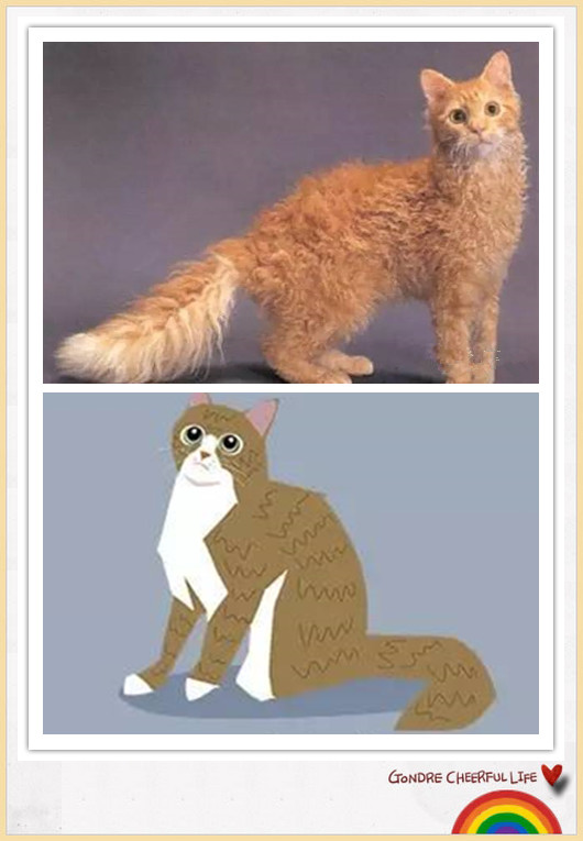 猫咪插画手绘图片,各种猫咪萌化图片