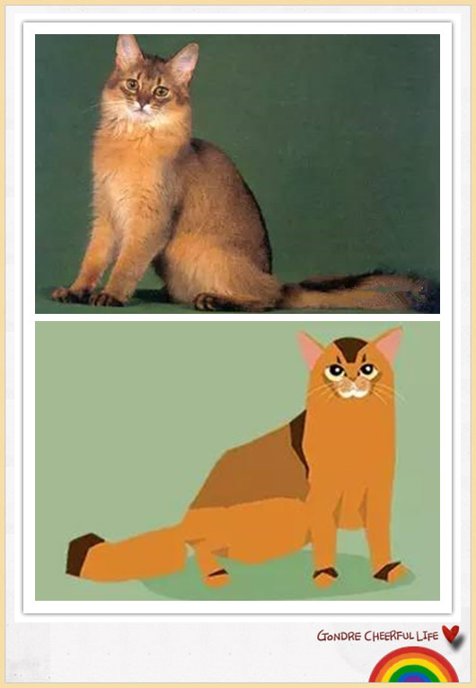 猫咪插画手绘图片,各种猫咪萌化图片