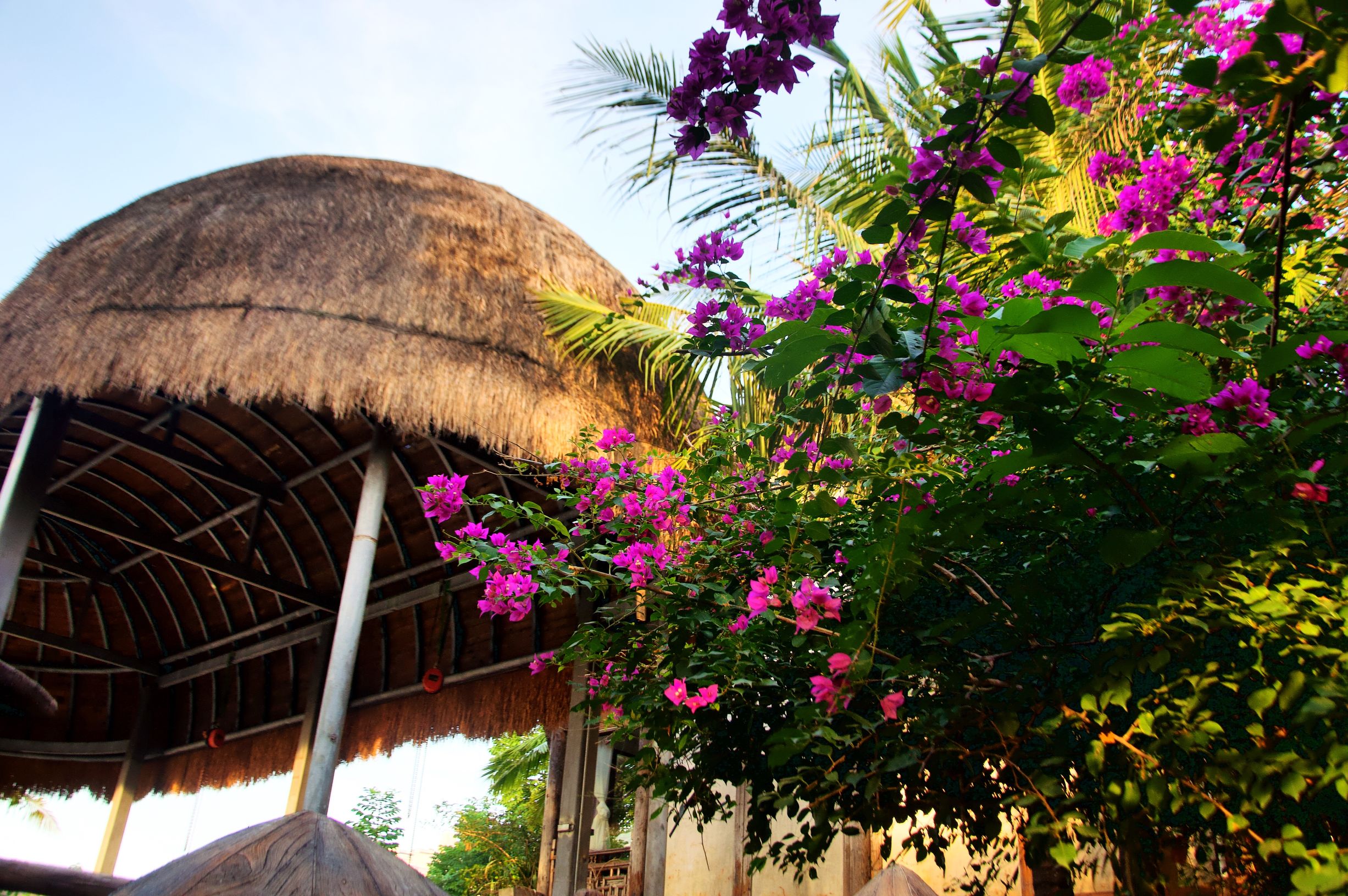 三亚度假之旅完美结束,三亚度假巨无霸五天五夜玩不腻