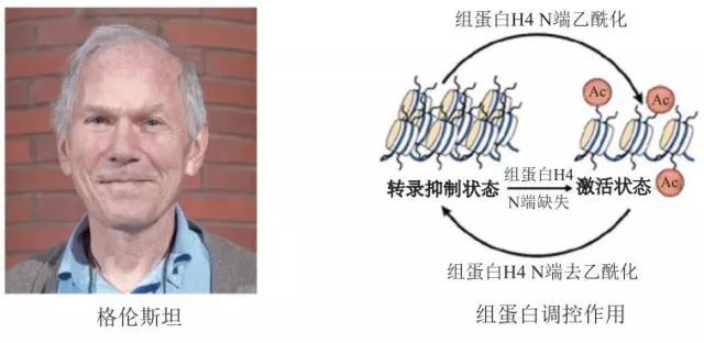造酒，酿醋，拿诺奖：“下得了厨房上得了厅堂”的神奇酵母