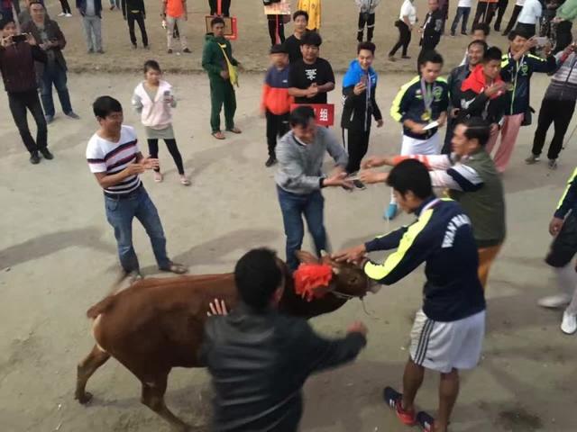 为什么足球与战争更接近,为啥说足球就像一场战争