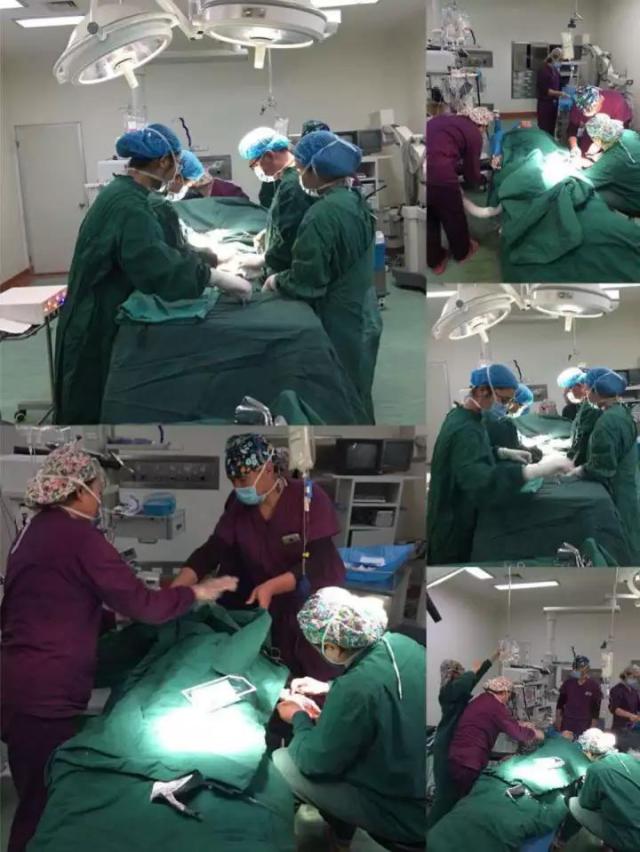 无影灯下坚守的医生,无影灯下的白衣天使