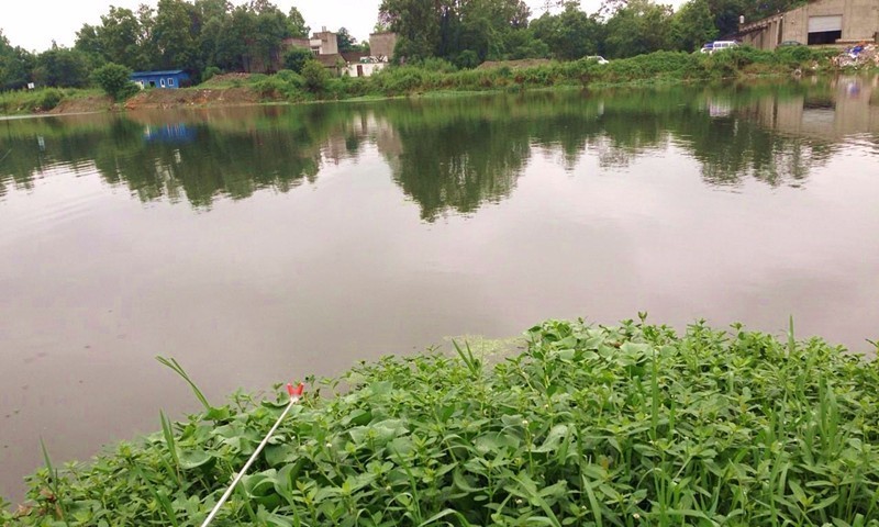 成都周边适合新手钓鱼的地方,成都2020十大免费钓鱼地方