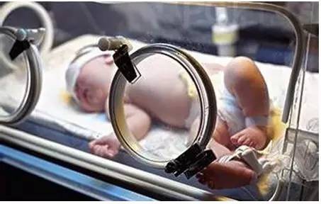 盘点|逆天的肠道菌群，又有哪些新作为？