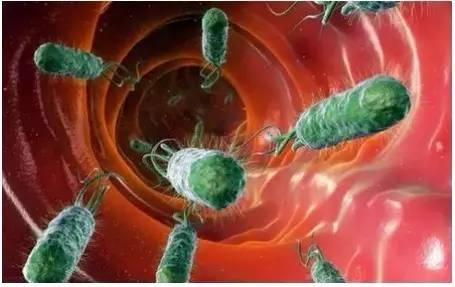 盘点|逆天的肠道菌群，又有哪些新作为？