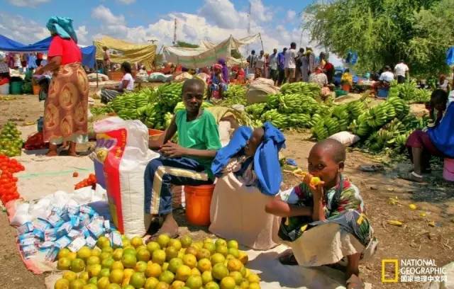 从厨房到餐桌里的美食,从市场到餐桌