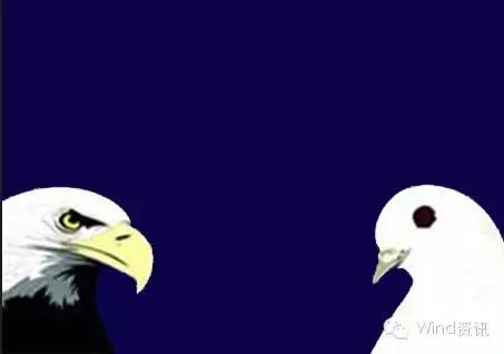 鹰鸽的分类图解,中国鹰鸽图文