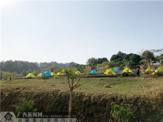 网眼看岳阳,网眼看乡村振兴