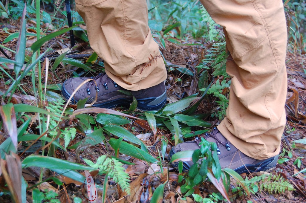 实测LOWA经典登山鞋RENEGADE，让我更从容面对自然