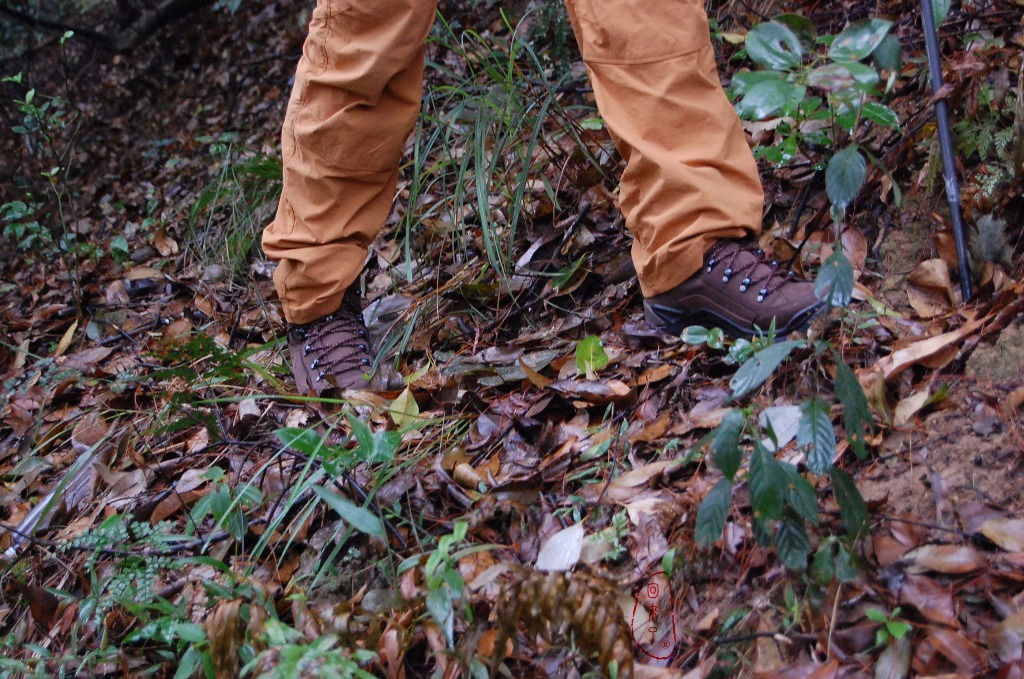 实测LOWA经典登山鞋RENEGADE，让我更从容面对自然