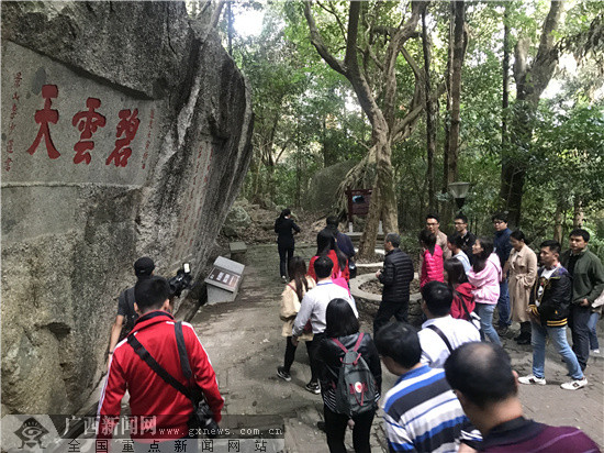 网眼看岳阳,网眼看乡村振兴