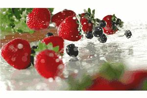 号外！全椒这里的草莓上市啦！观光采摘约起来吧~“莓”你不行！（附获奖名单）