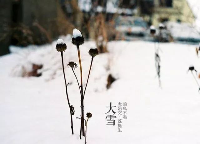 大雪至寒冬始冬令进补正当时,大雪至隆冬时吃什么玩什么