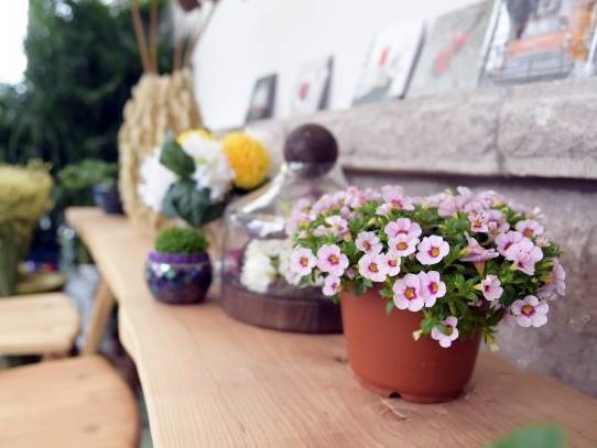 一路向北青岛,青岛有哪些好的民宿推荐