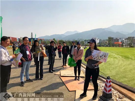 网眼看岳阳,网眼看乡村振兴