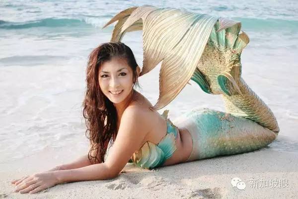 新加坡90年代最红男星,2019新加坡最红明星