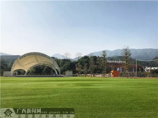 网眼看岳阳,网眼看乡村振兴