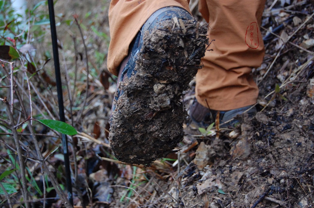 实测LOWA经典登山鞋RENEGADE，让我更从容面对自然