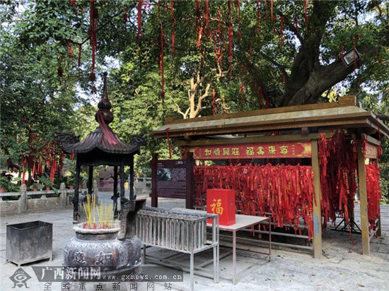 网眼看岳阳,网眼看乡村振兴