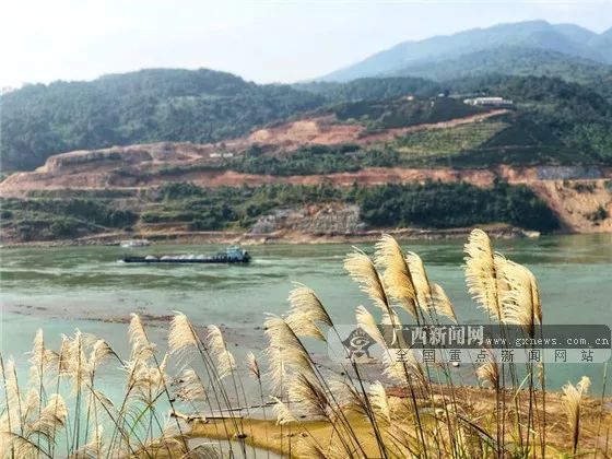 网眼看岳阳,网眼看乡村振兴