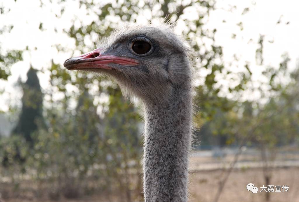 穿越秦楚古道感受千年历史,穿越时空体验秦汉之旅
