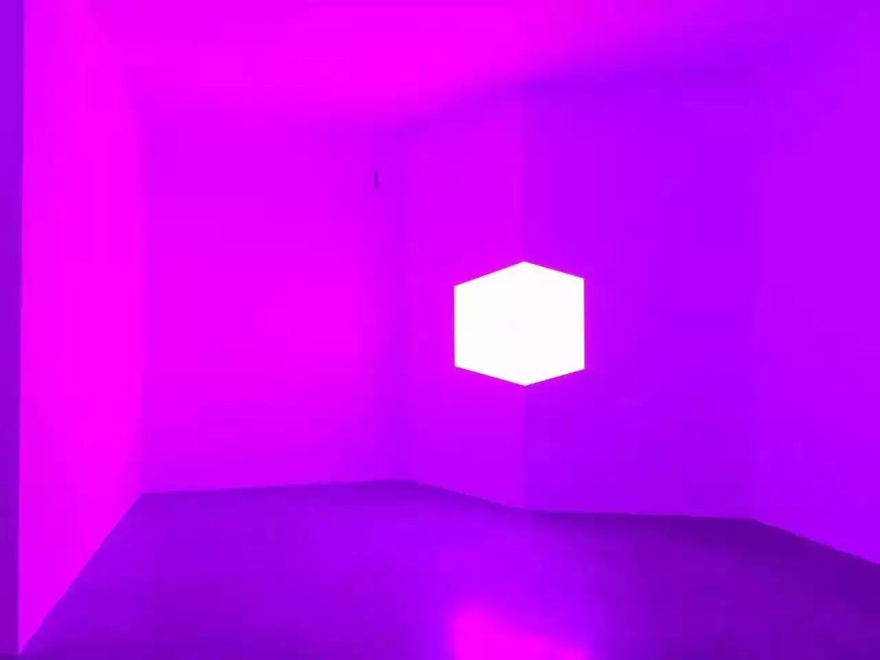 紫色是少女国度的一抹忧愁