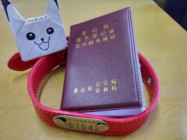 象山开出首批不文明养犬行为罚单,违规养犬该怎么举报