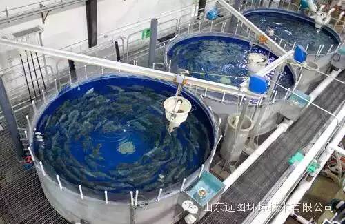 最新循环水养殖,循环水养殖系统图片大全集