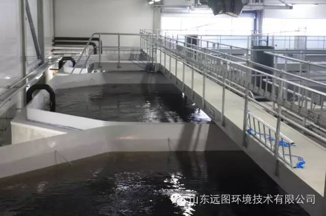 最新循环水养殖,循环水养殖系统图片大全集