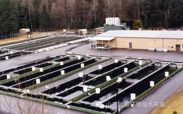 最新循环水养殖,循环水养殖系统图片大全集