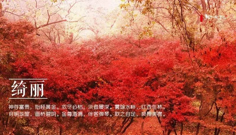 崇尚老庄的古人，写出了二十四种“道法自然”之美