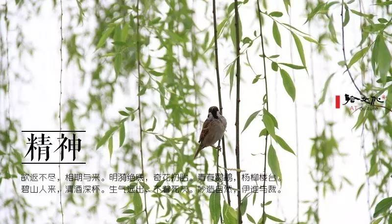 崇尚老庄的古人，写出了二十四种“道法自然”之美