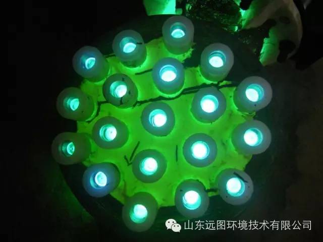 最新循环水养殖,循环水养殖系统图片大全集