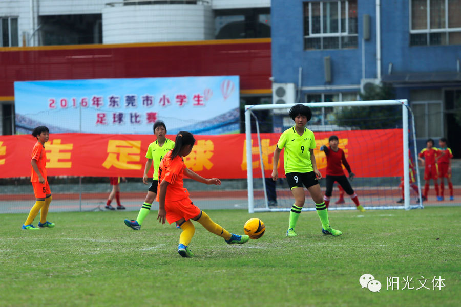 东莞市小学生足球比赛直播,2019东莞小学生篮球争霸赛