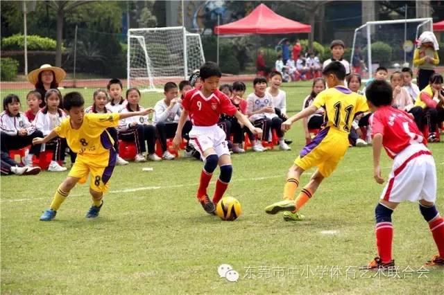 东莞市小学生足球比赛直播,2019东莞小学生篮球争霸赛