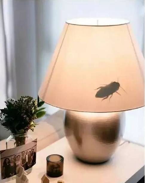 明天愚人节|小财送你办公室整蛊全攻略，对不起了，领导！