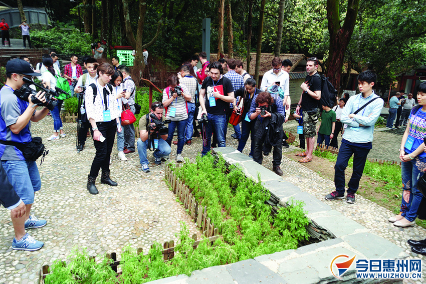 世界主流财经媒体聚焦惠州老记赞惠州中医药创新发展