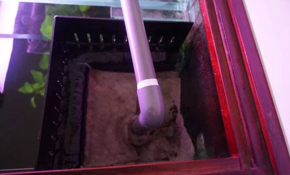 玩得细致、专业，出手不凡！