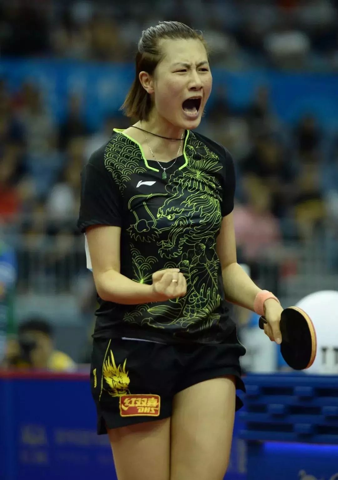 鸿雁知天下最新新闻,鸿雁知天下视频