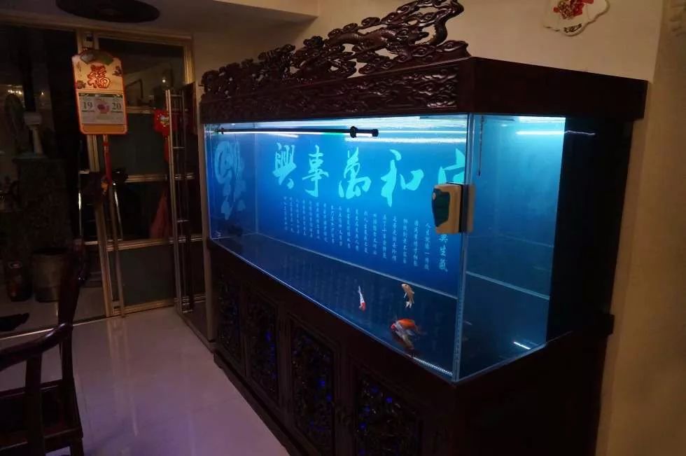 玩得细致、专业，出手不凡！